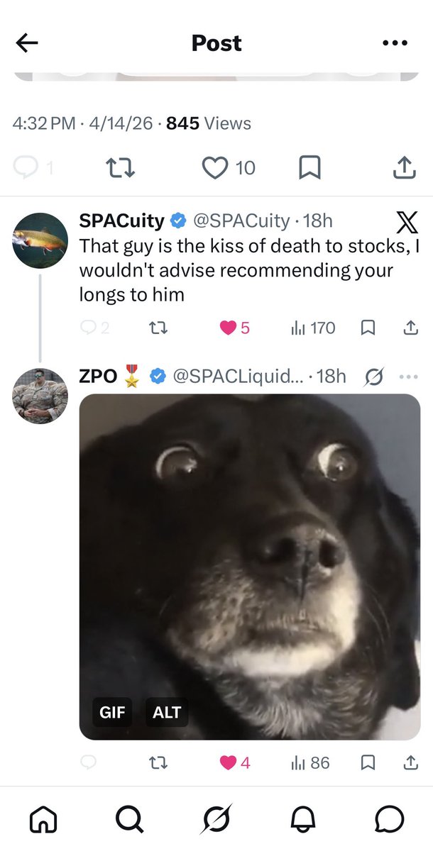 Inverse Capybara Stocks tweet media