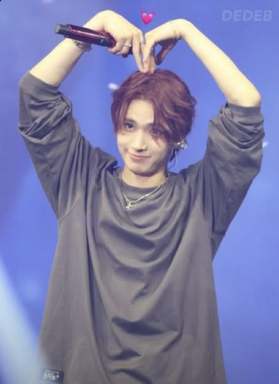 ENHYPEN IS 7 tweet media