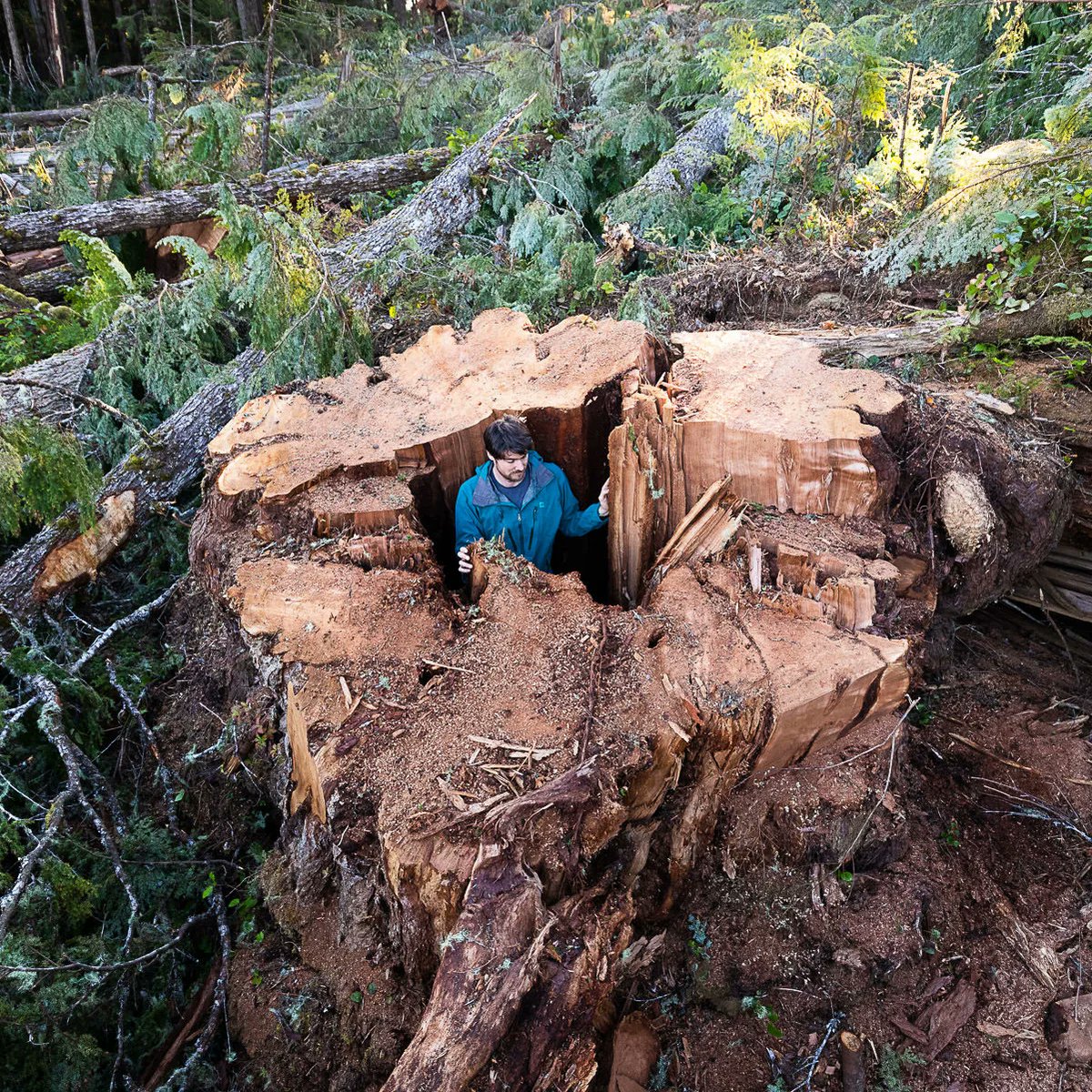 Give A Shit About Nature tweet media