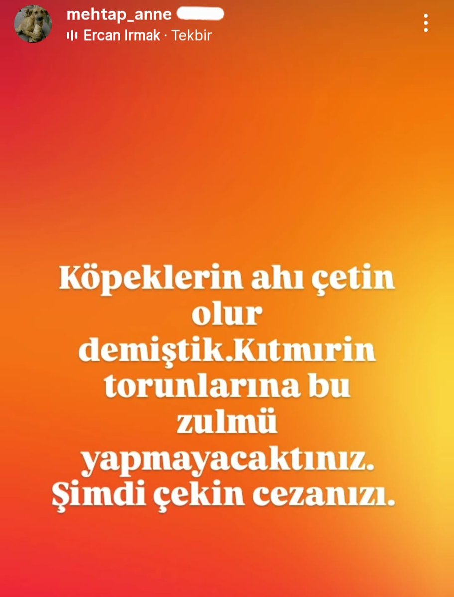 FethiAslan Köpek Sorunu tweet media