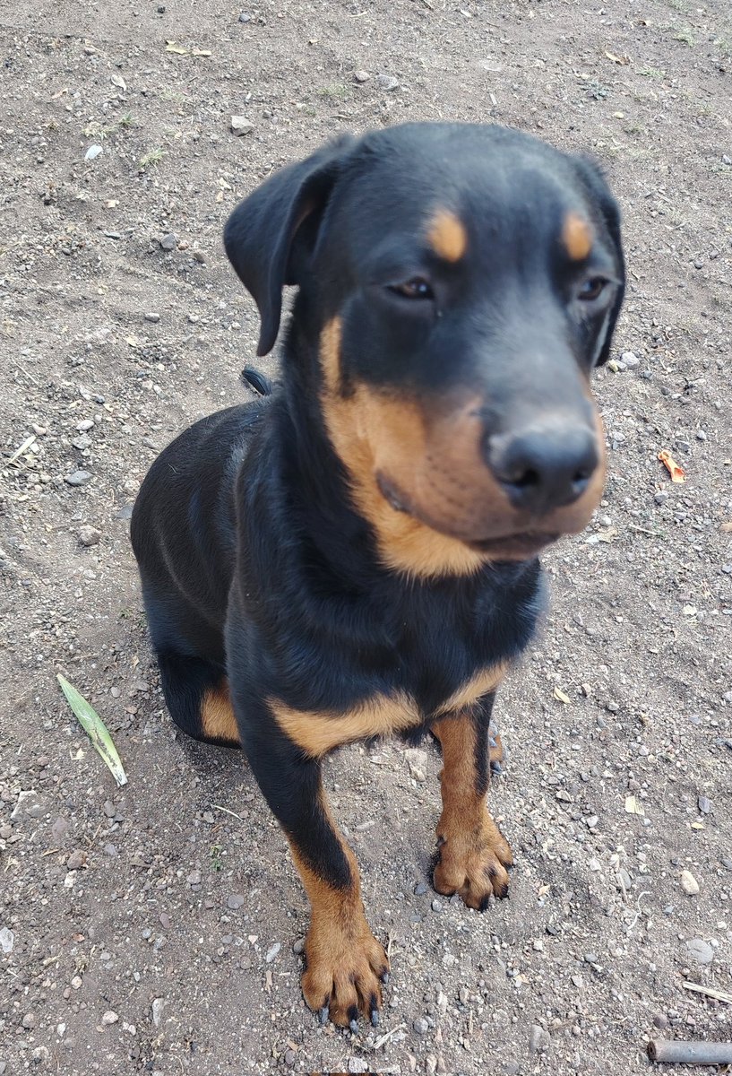 Solo Alek tweet media