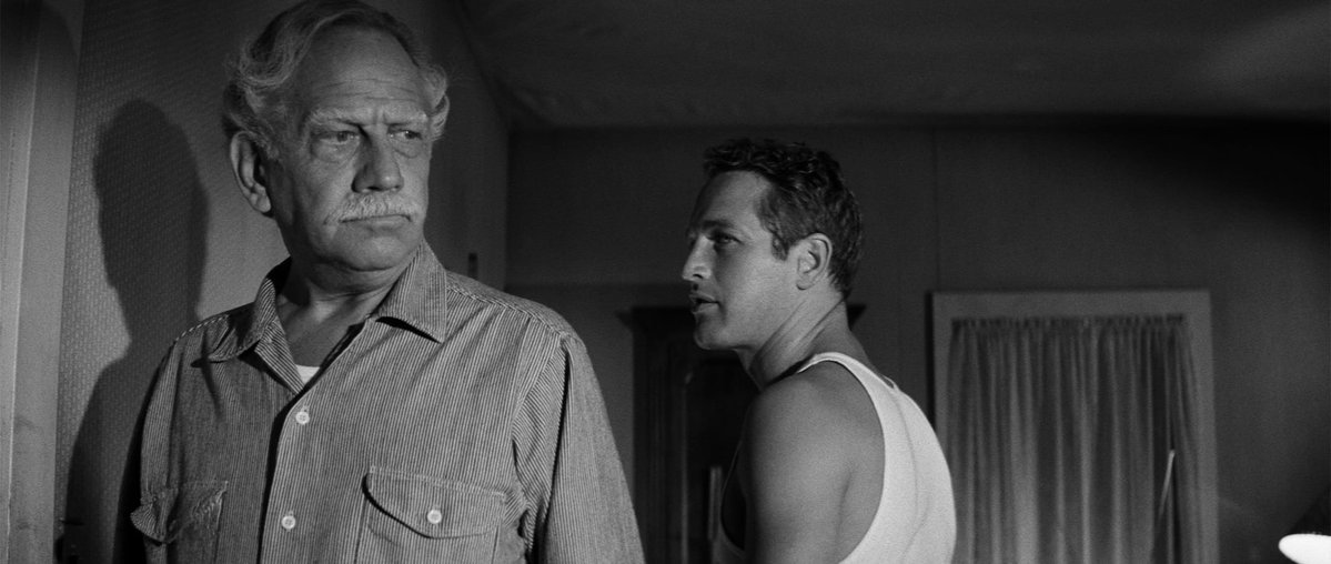 Criterion Collection tweet media