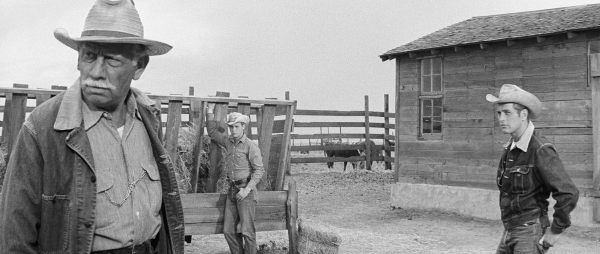 Criterion Collection tweet media