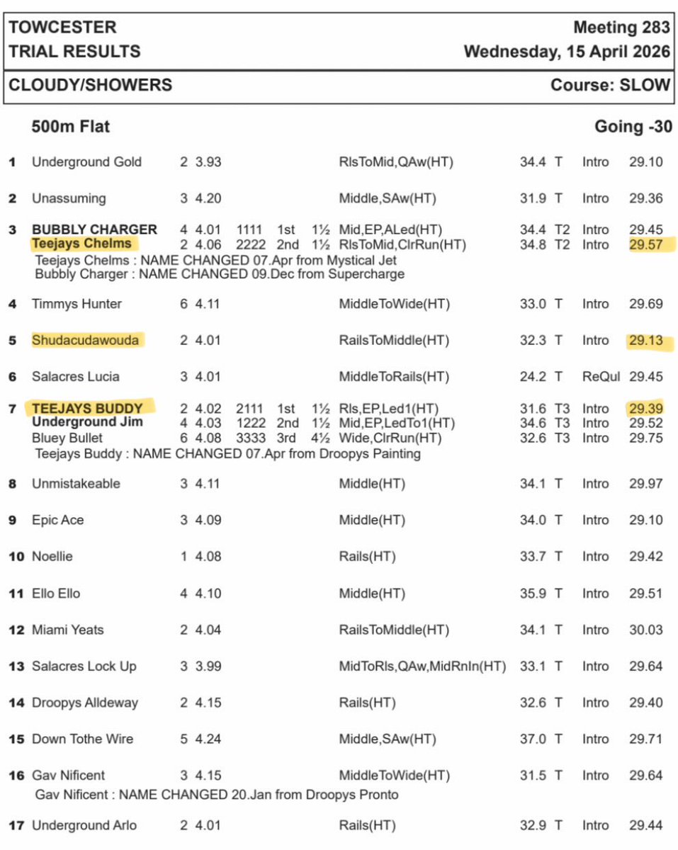 Greyhound Trader tweet media