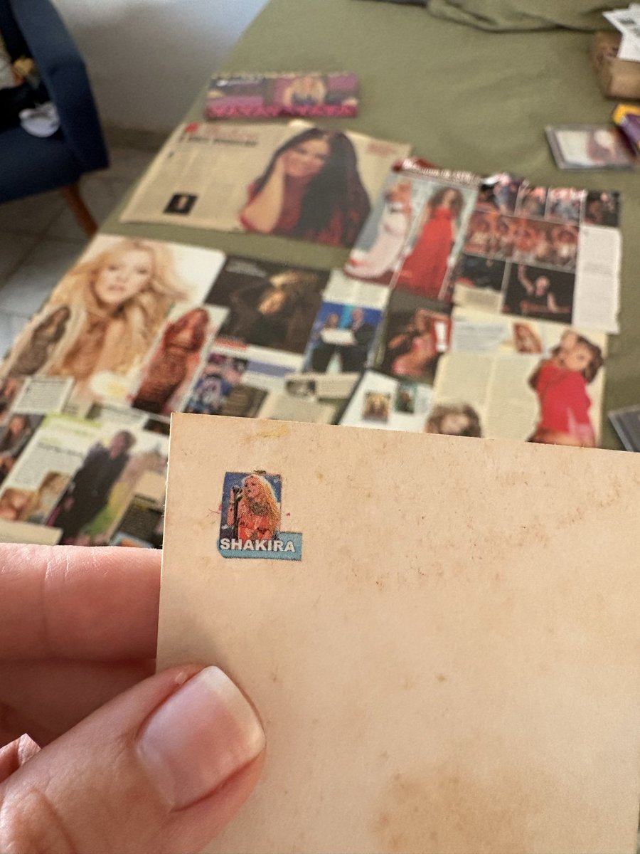 Alice Neves vai ganhar o VIP para ver a Shakira tweet media