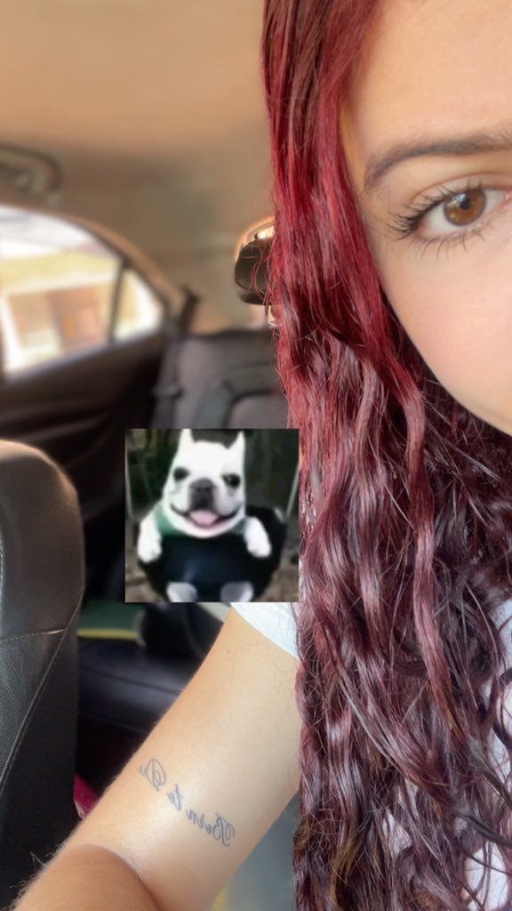 leticia mineira trem dodio tweet media