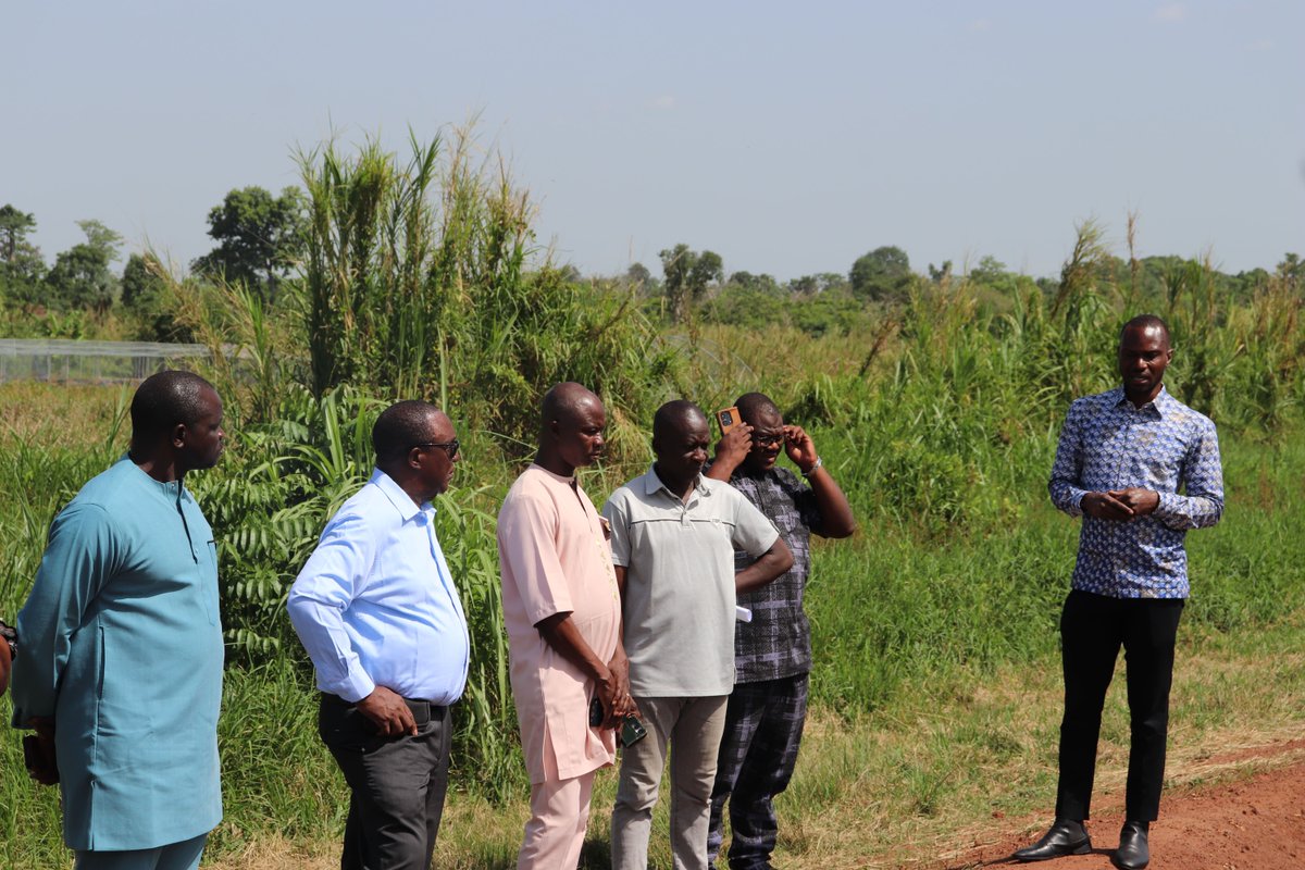 AfricaRice tweet media