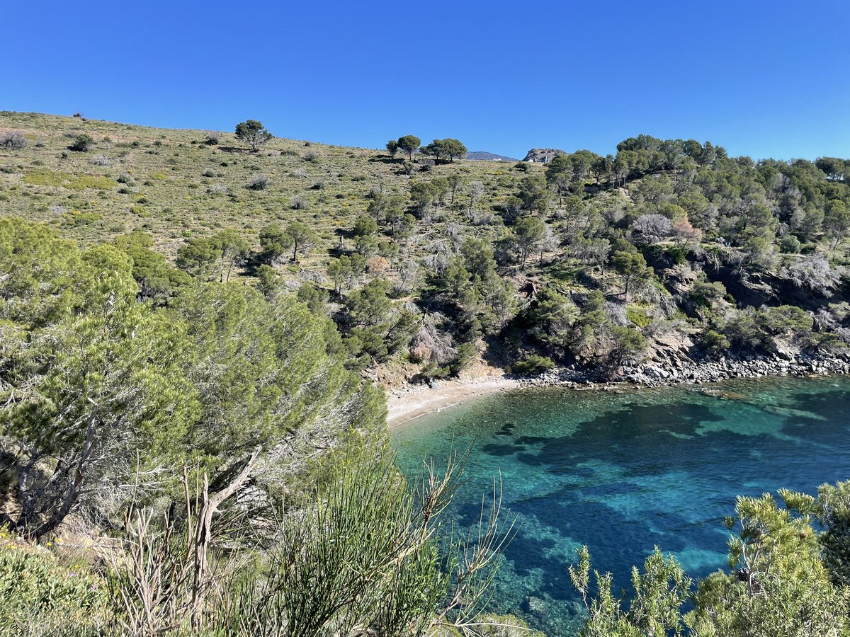 Vero Sinmapa tweet media