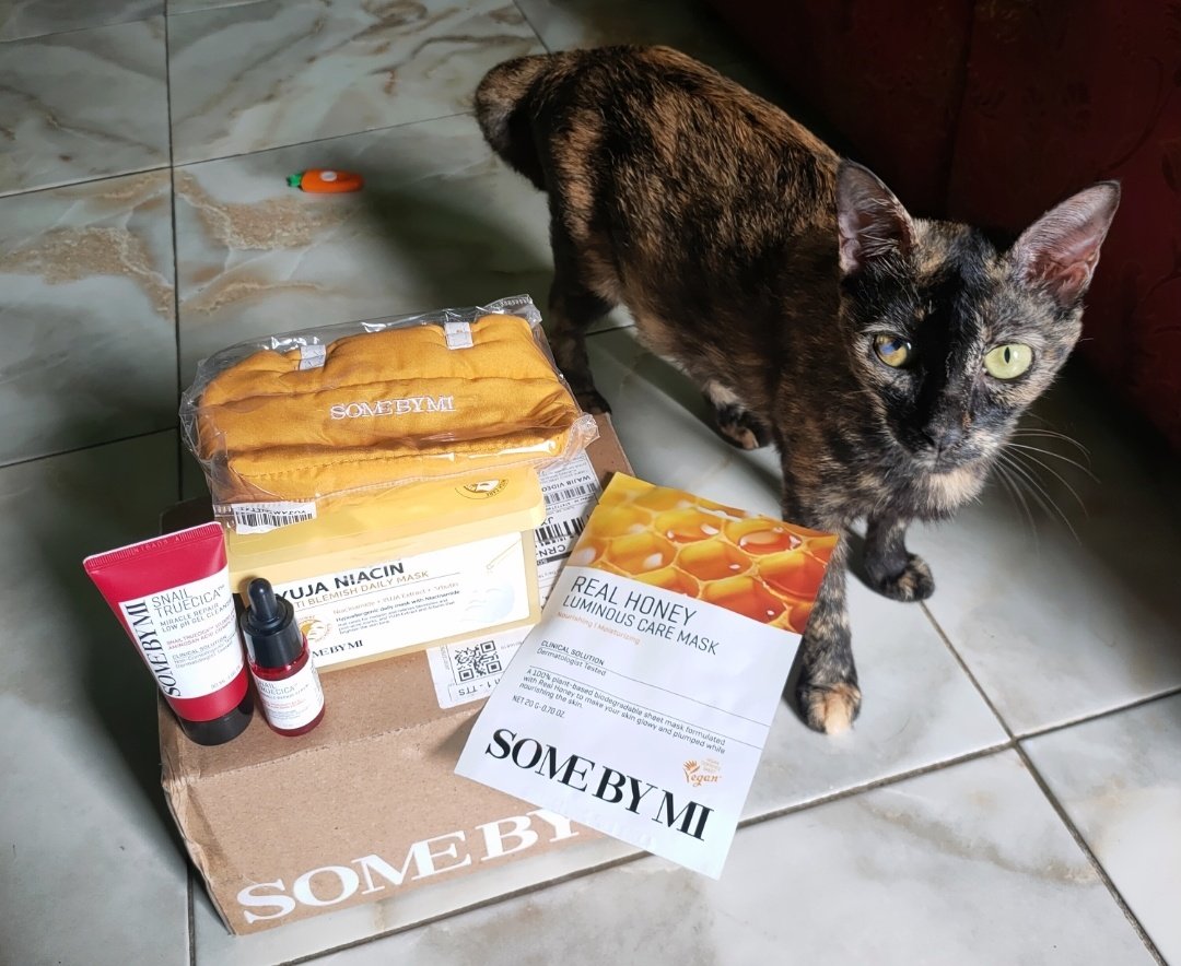 mentaritawan's tweet photo. @mickyandfriends my tortie 😸 ada anak kecil yg bilang dia serem 😭🤏🏻 sksksk tapi dia kucingku yg paling pinter ga pernah pup pip sembarangan, minus ga clingy sama cerewet aja:') https://t.co/2jsxhkg0x3
