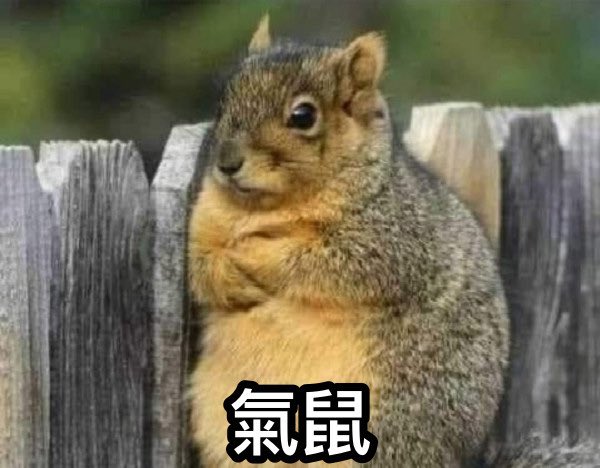 hotspring327's tweet photo. 窗外的大雨還真適合現在的我，禮拜三總是不知道發生了什麼，然後禮拜四就會有不愉快的事情發生。
腦中總是浮現那句“他們的關係真的很好喔”。

我！知！道！ https://t.co/CqfMIcAXPJ