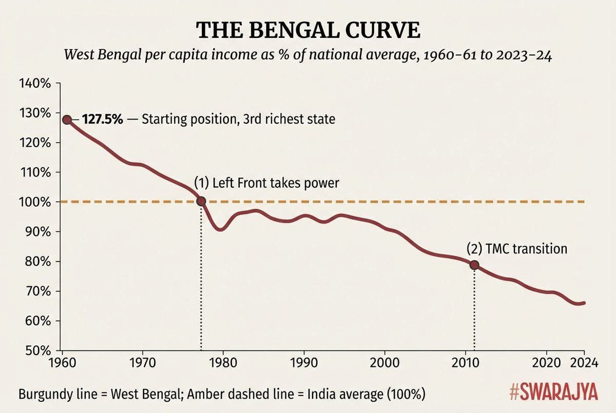 great white 🦈 tweet media