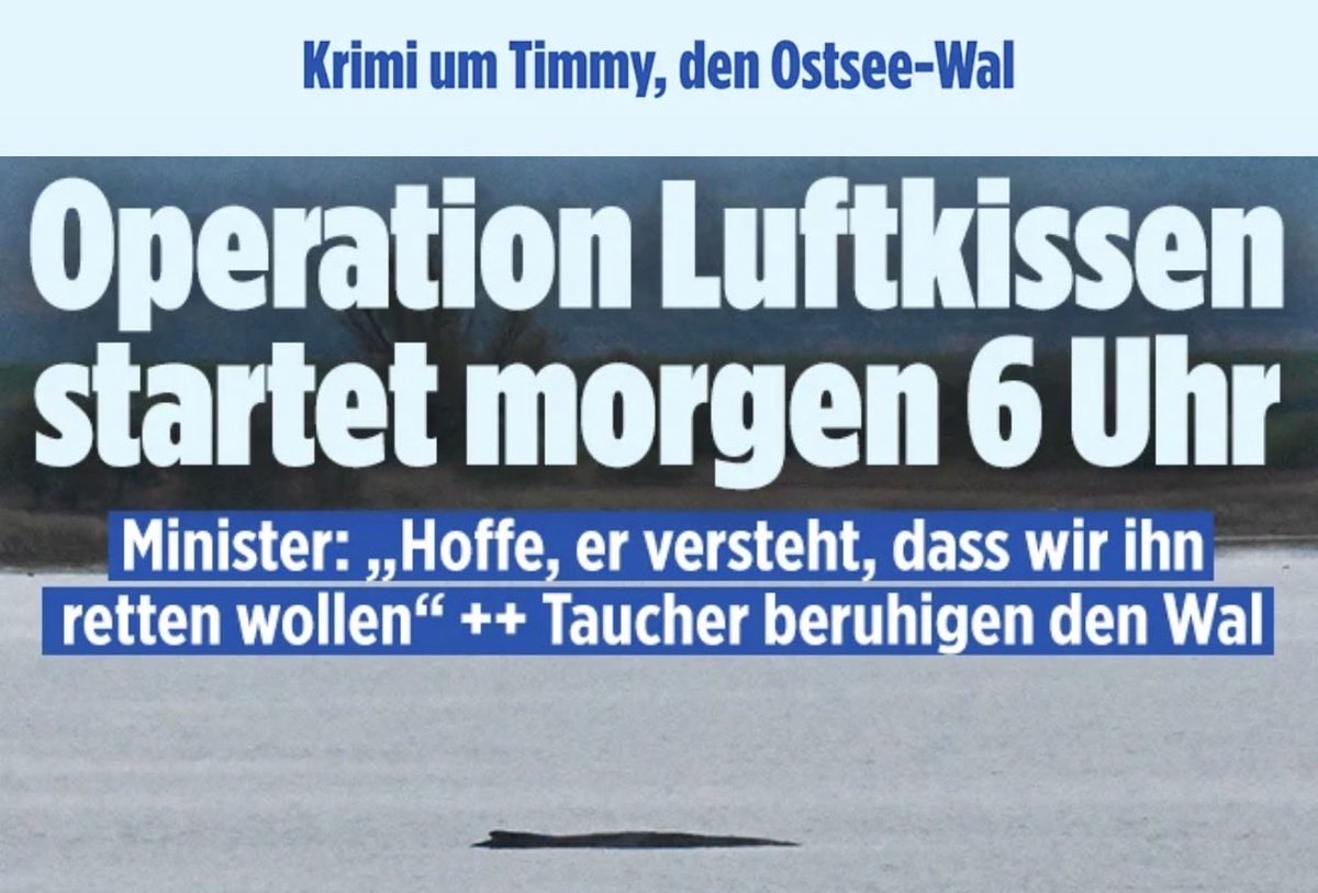 Robert Willacker tweet media