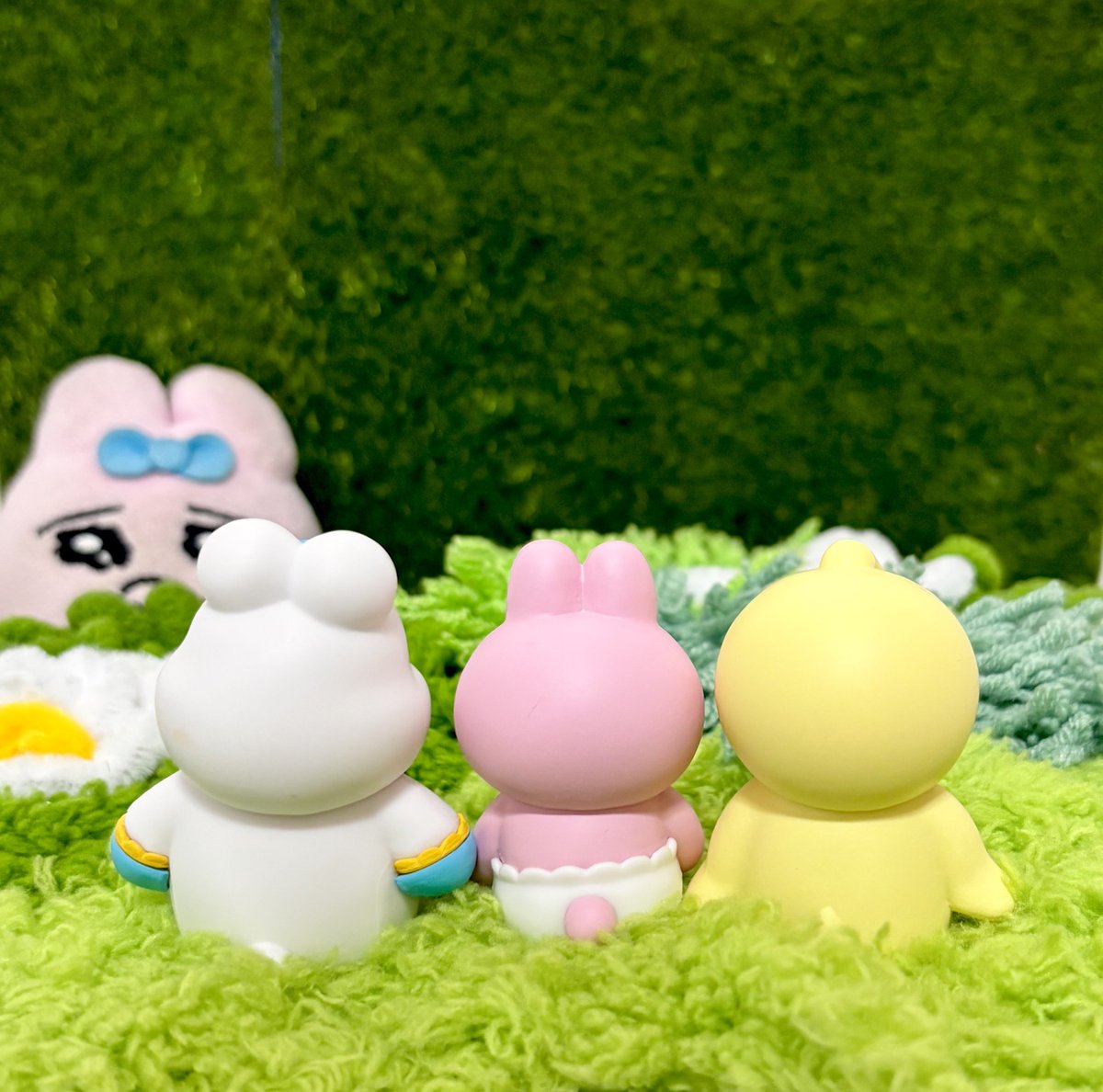 おぱ活ます🐰 tweet media