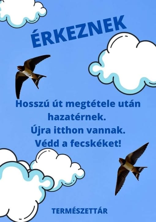 Toth Bandi tweet media