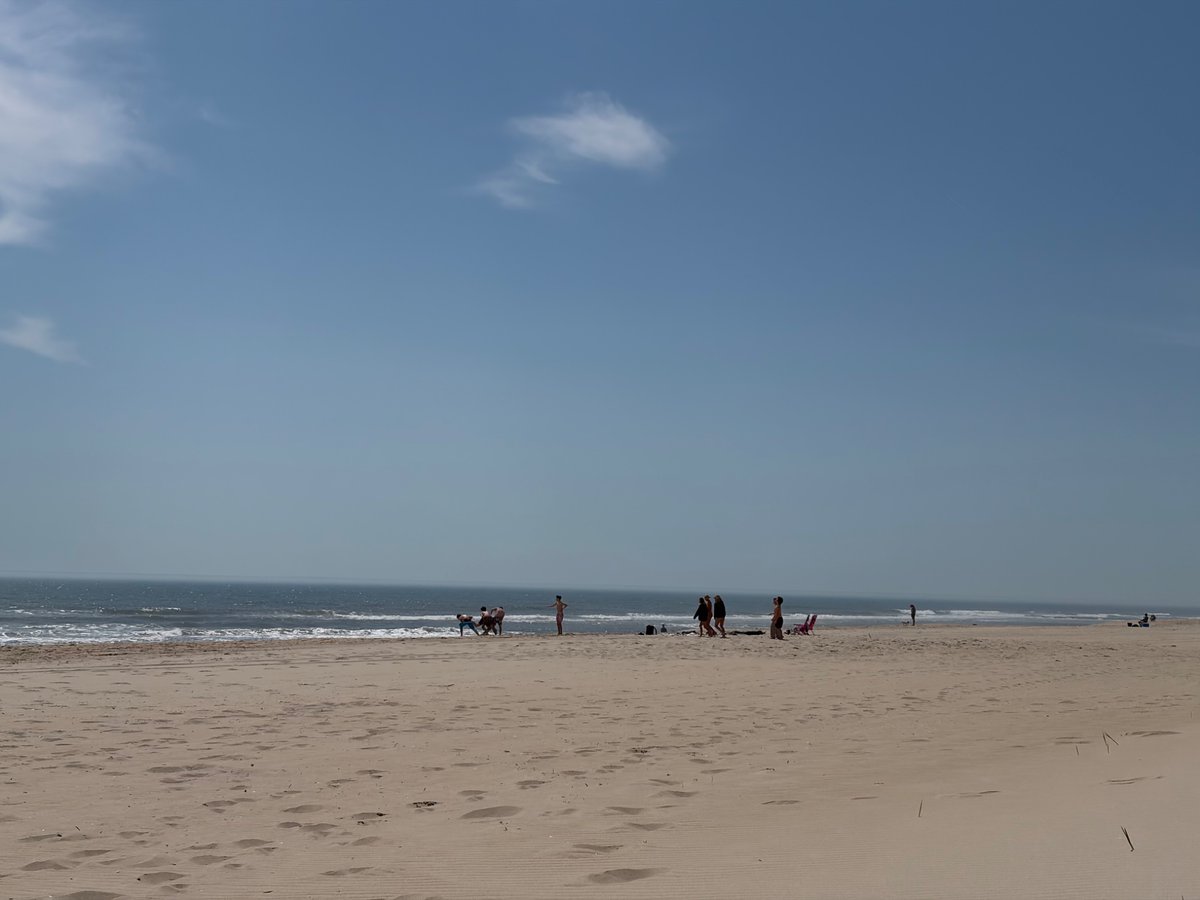 silvrgoat06's tweet image. Good Afternoon from Ship Bottom LBI 
Proof I did exercise too 🏃 😅 
#beachday #LBI #JerseyShore #exit63