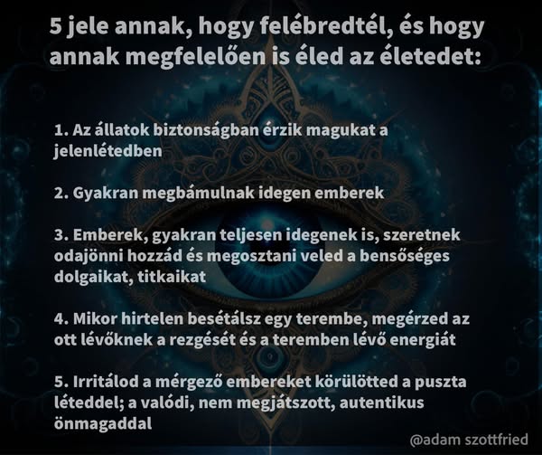 Toth Bandi tweet media