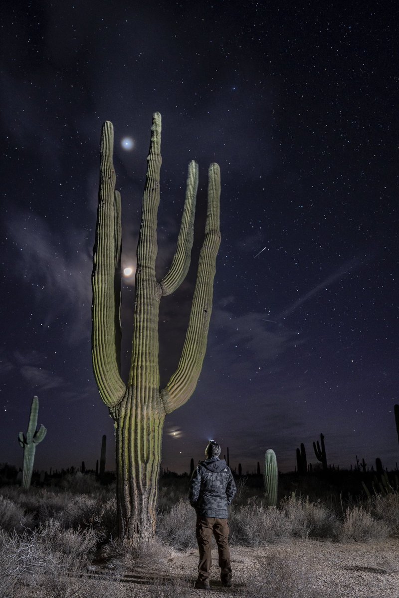 Gerardo L Gerardo-Fotografia tweet media