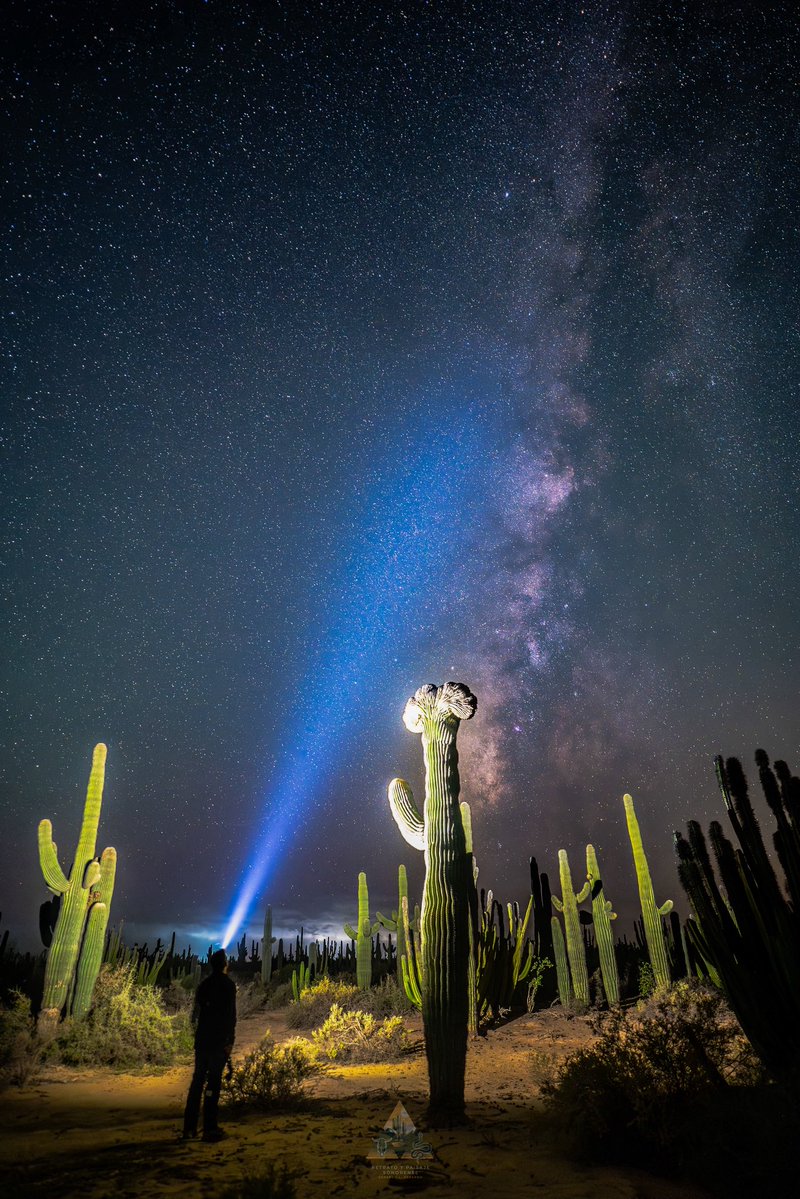 Gerardo L Gerardo-Fotografia tweet media