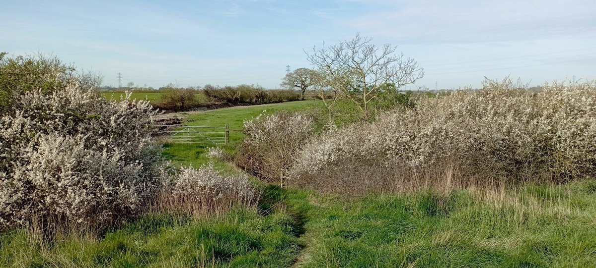 npellinacci's tweet photo. Recent #walking on new sections of the #england #coast #path. Bit more to go [2/2] https://t.co/xepKw9xxM3