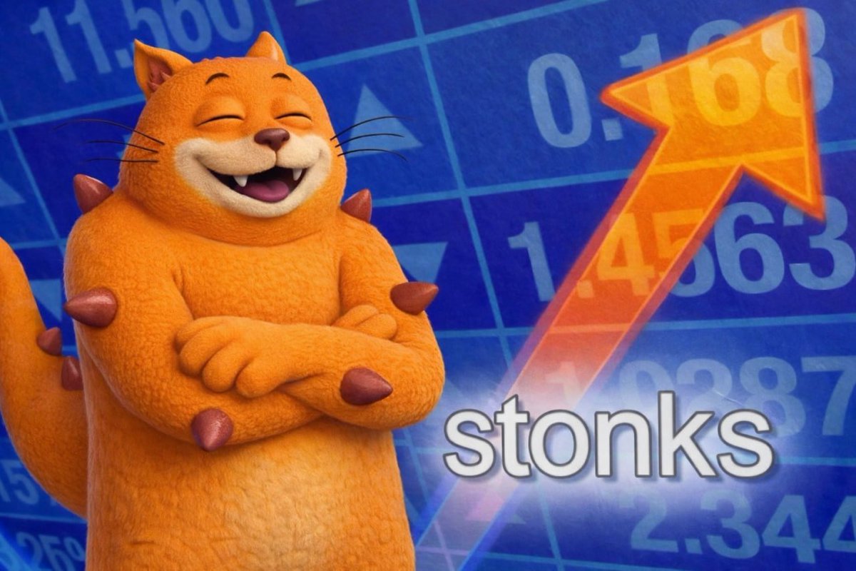 Catzilla tweet media