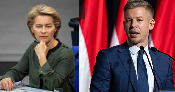 Critica Climatica Alias Fortunato Nardelli tweet media