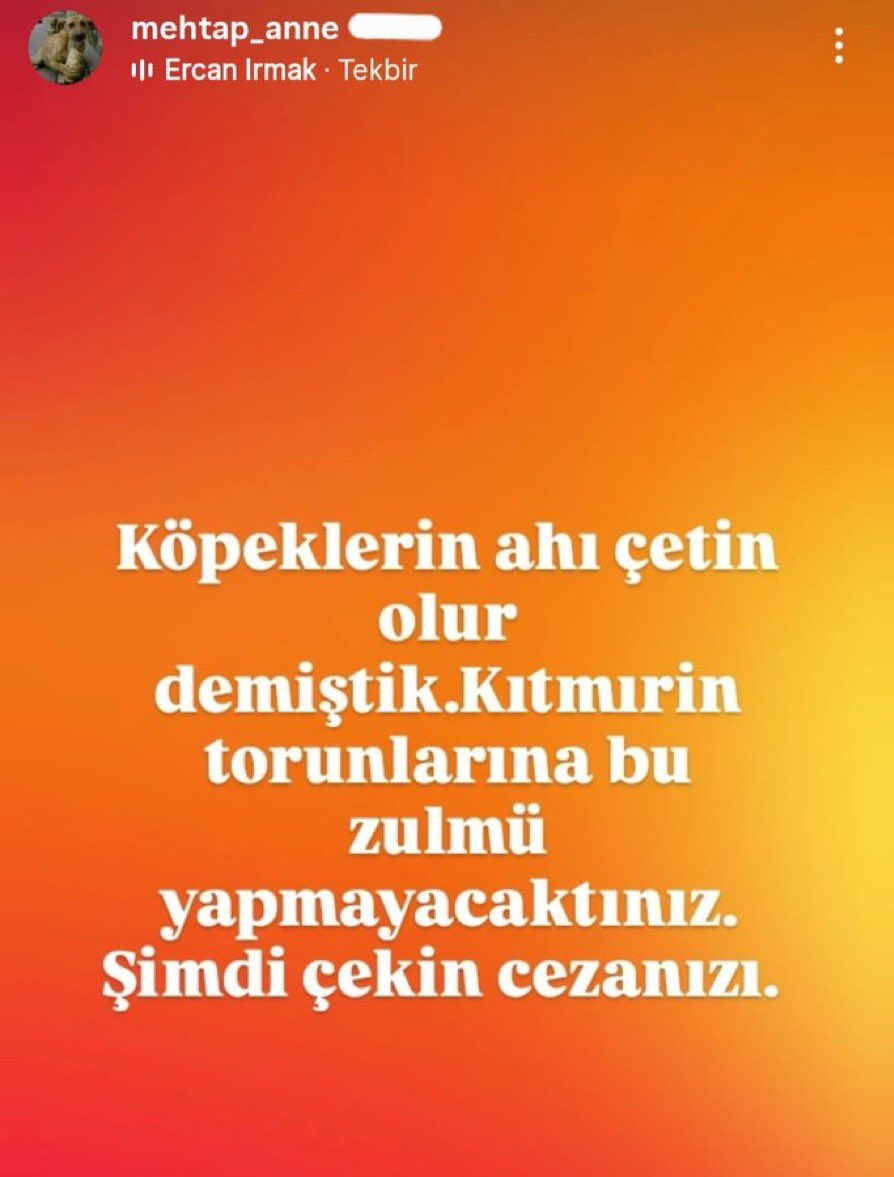 Prof Dr. Nebahat BULUT tweet media