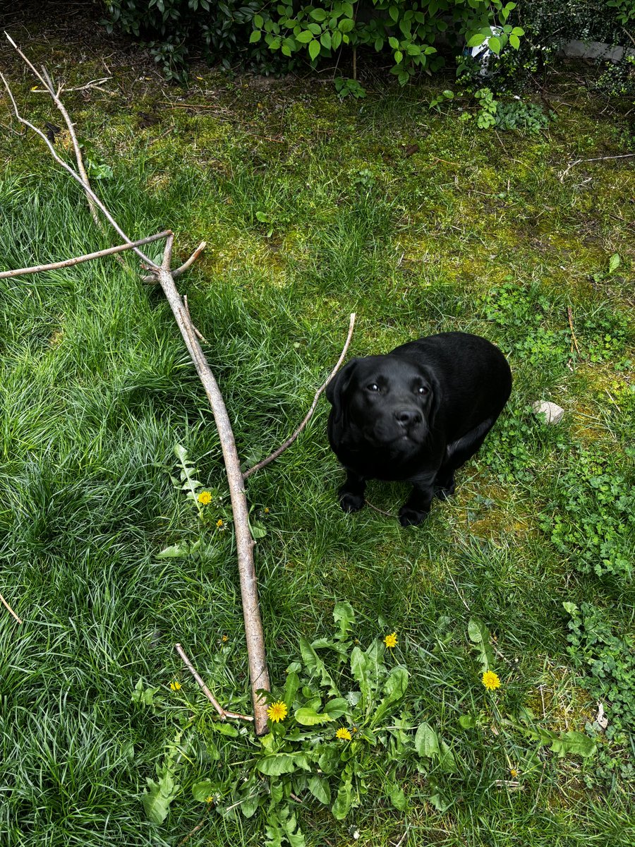 Carole Quintaine tweet media