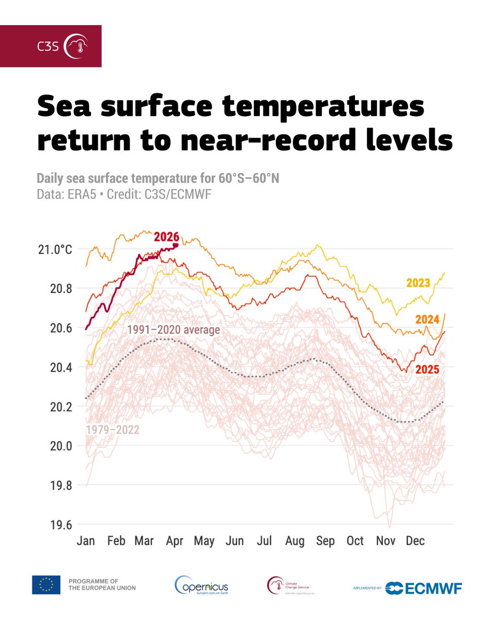 Andrés Actis tweet media