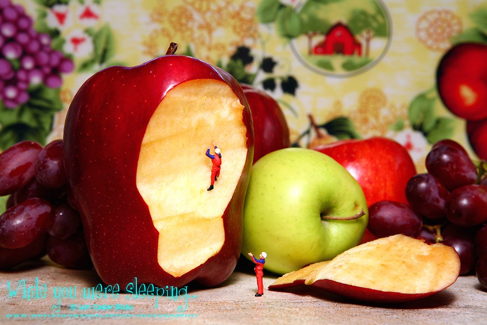 OfficialNeoichi's tweet image. The spotter gave encouragement, but he knew Adam's free-solo climb would challenge him to the core.

#macrophotography #tinypeoplephotography #foodphotography #soloclimb #freeclimbing 

whileyouweresleeping.photography