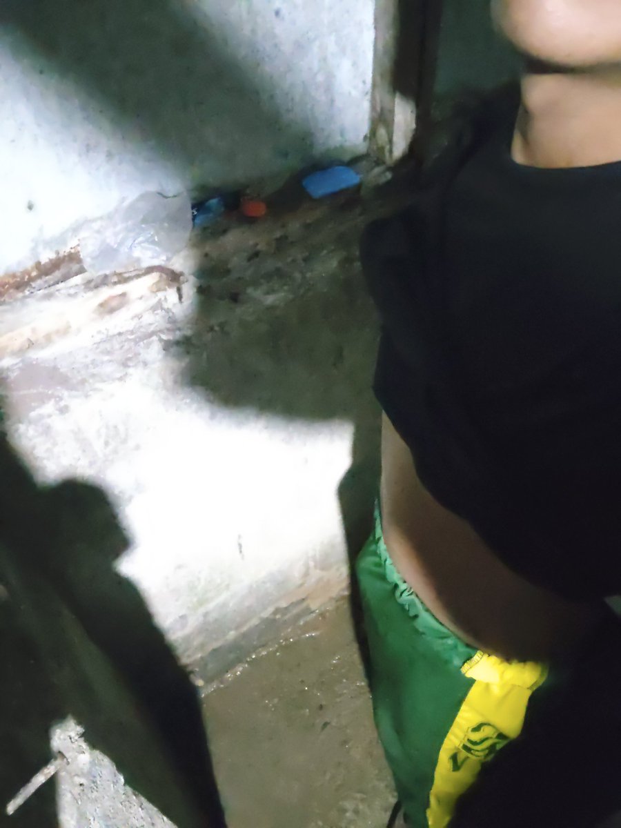 ALTER NEGROS tweet media