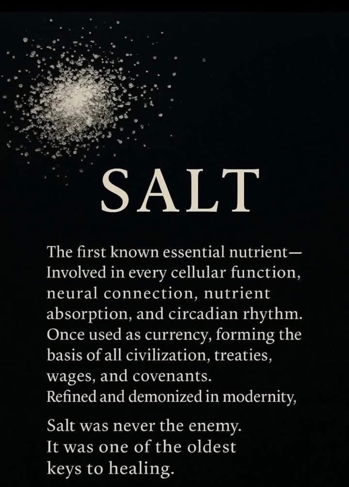 🧬Maxpein🧬 tweet media