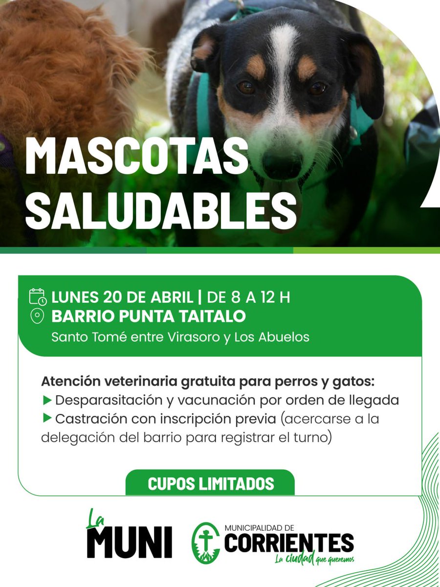 municorrientes's tweet photo. Sumamos un operativo más de #MascotasSaludables para seguir apostando a la tenencia responsable🐶🐈‍⬛ Desde el lunes, incorporamos atención veterinaria gratuita, desparasitación y vacunación por orden de llegada y castraciones con inscripción los días previos en las delegaciones👇🏼 https://t.co/6LVRkL0V0X