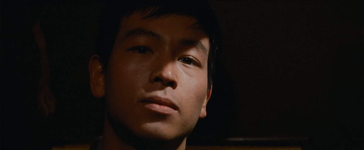 Criterion Collection tweet media