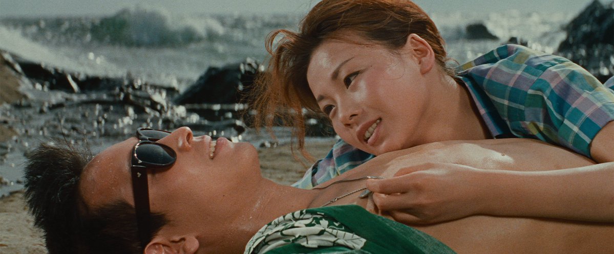 Criterion Collection tweet media