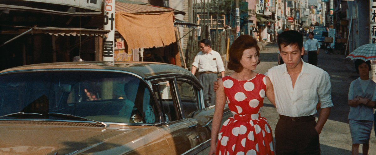 Criterion Collection tweet media