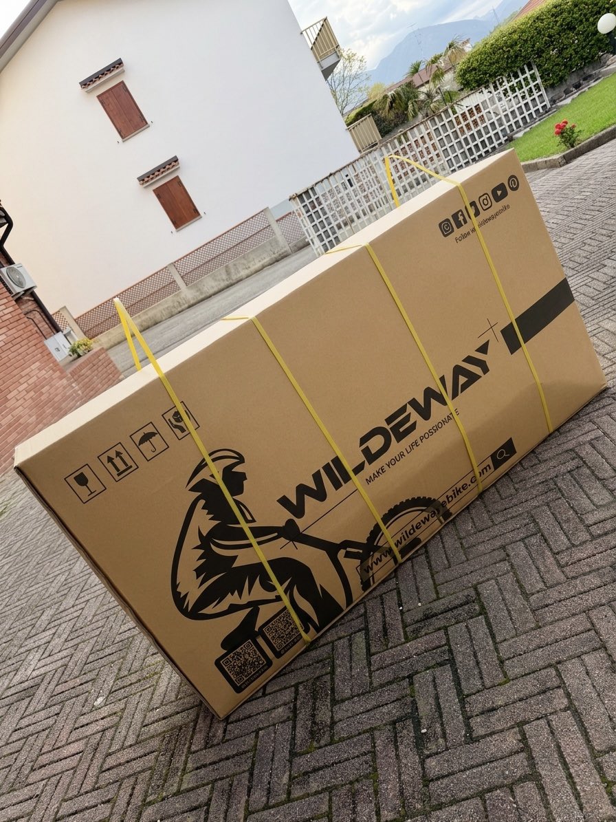 MikyDiAncona tweet media