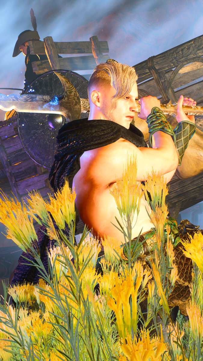 しましま犬 tweet media