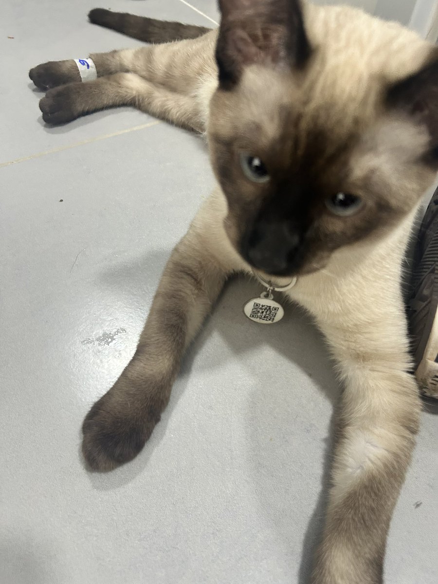 ☆°•Beth•°☆ 🪽 tweet media