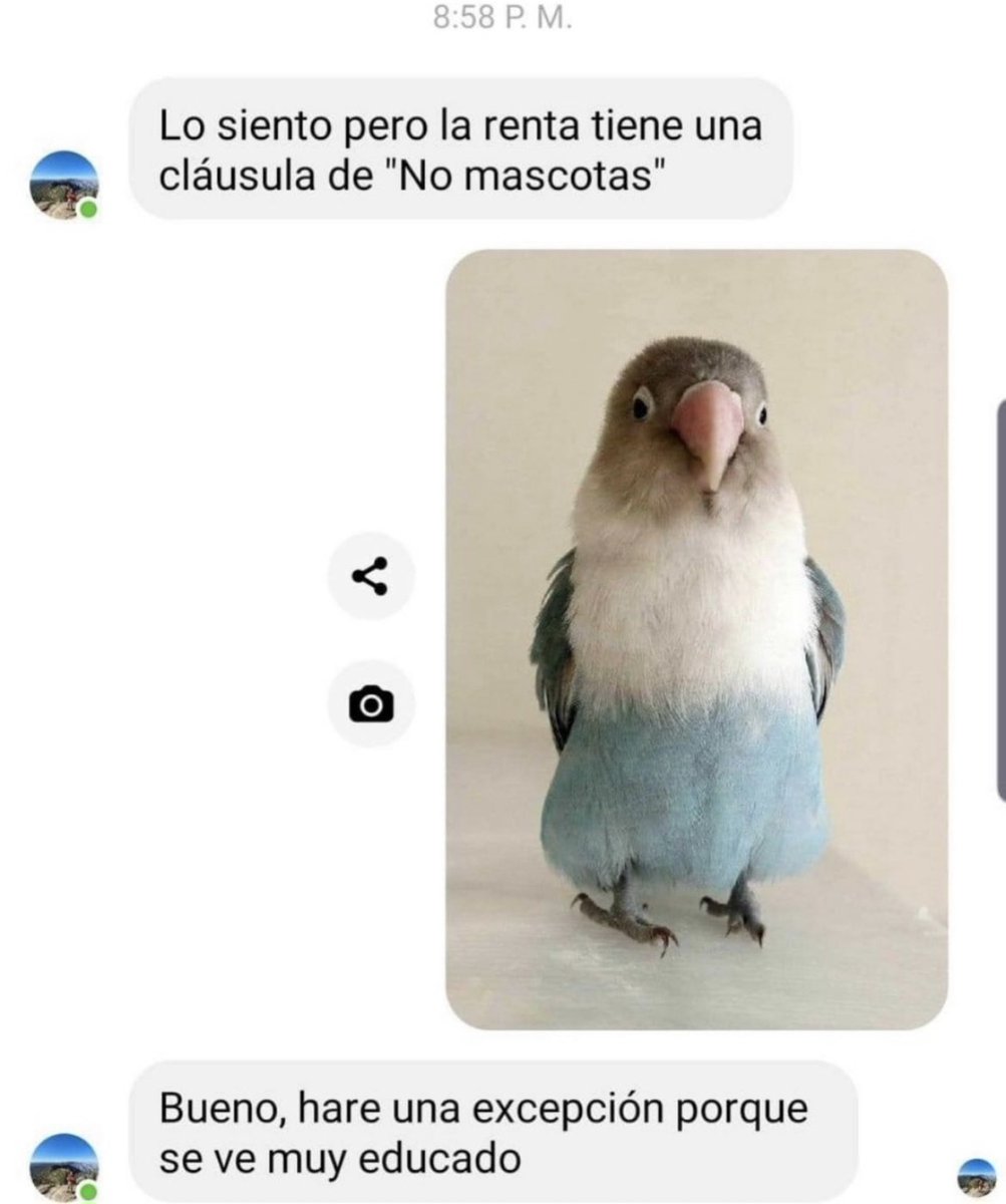 Máscara De Látex® tweet media