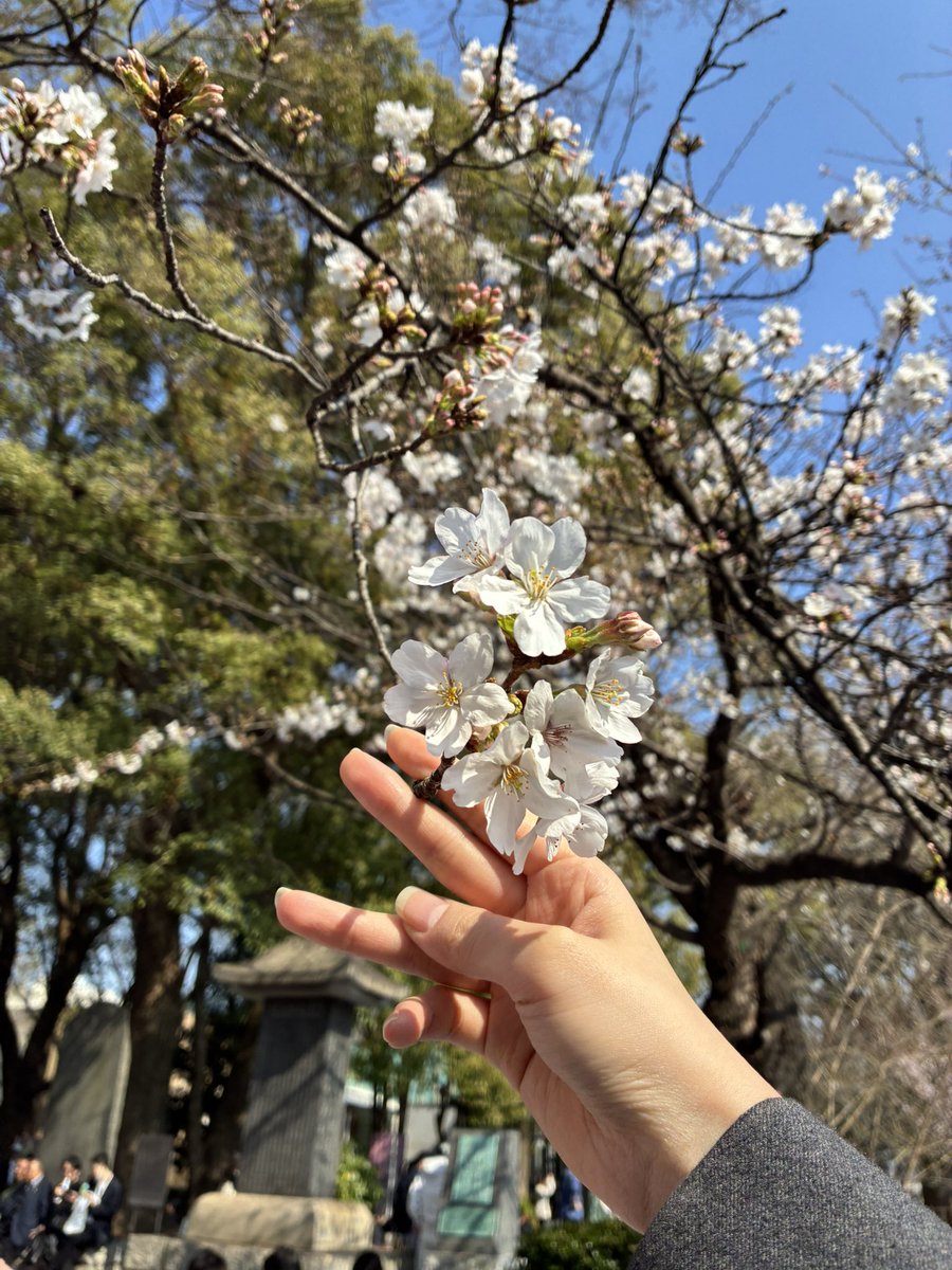 シーナ🌙 tweet media