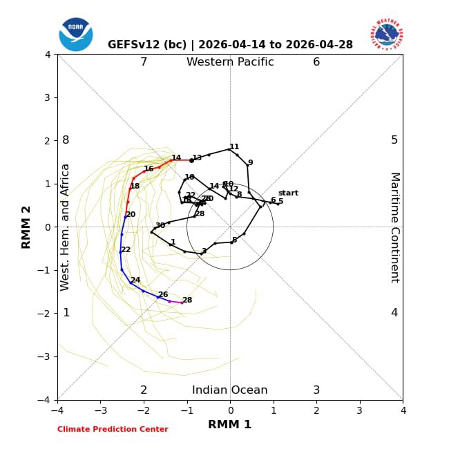 أمجد المنجي tweet media