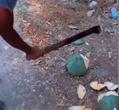 Guilda Brasileira de Monster Hunter tweet media