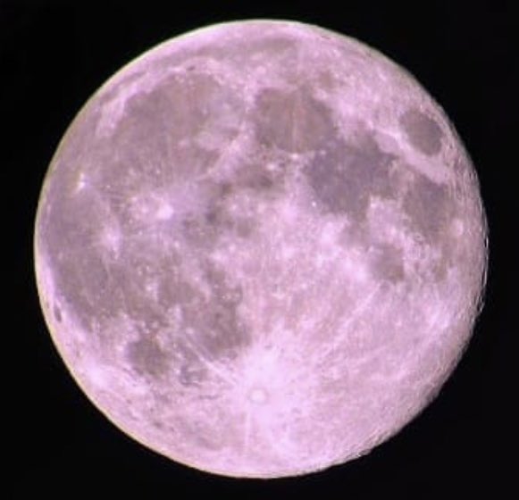 𓆩♡𓆪 tweet media