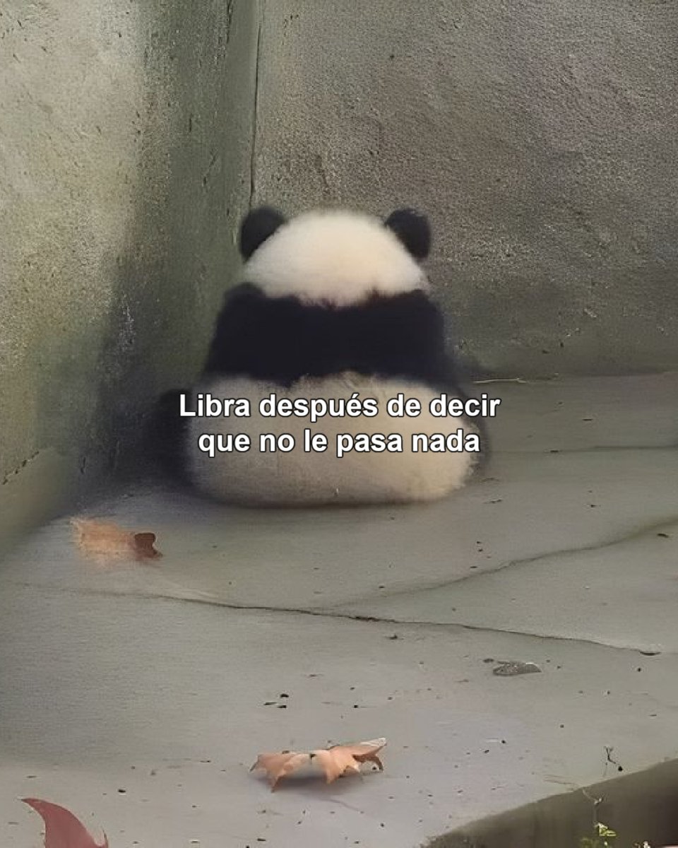 ▲LIBRA▲ tweet media