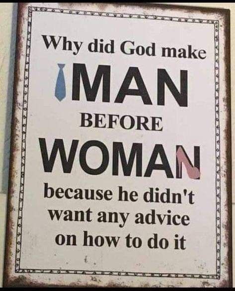 Alice 👑 tweet media