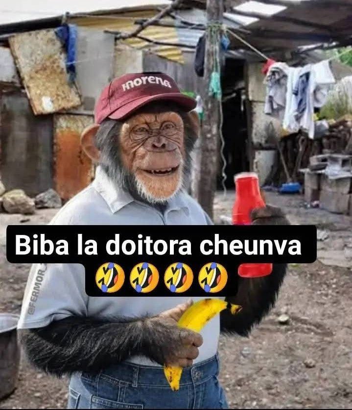 La Ministra 🫏 tweet media