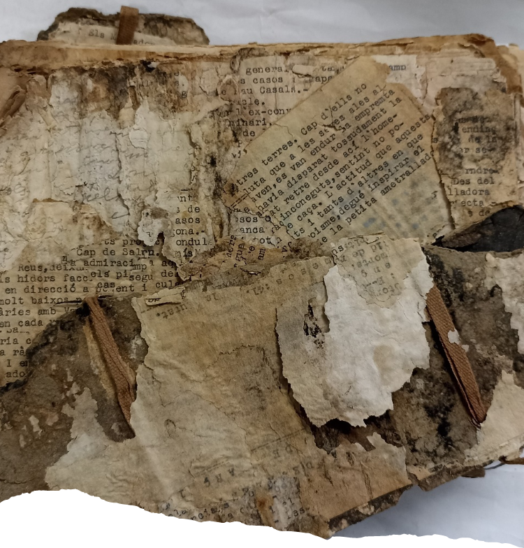 Setmanari Dillums tweet media