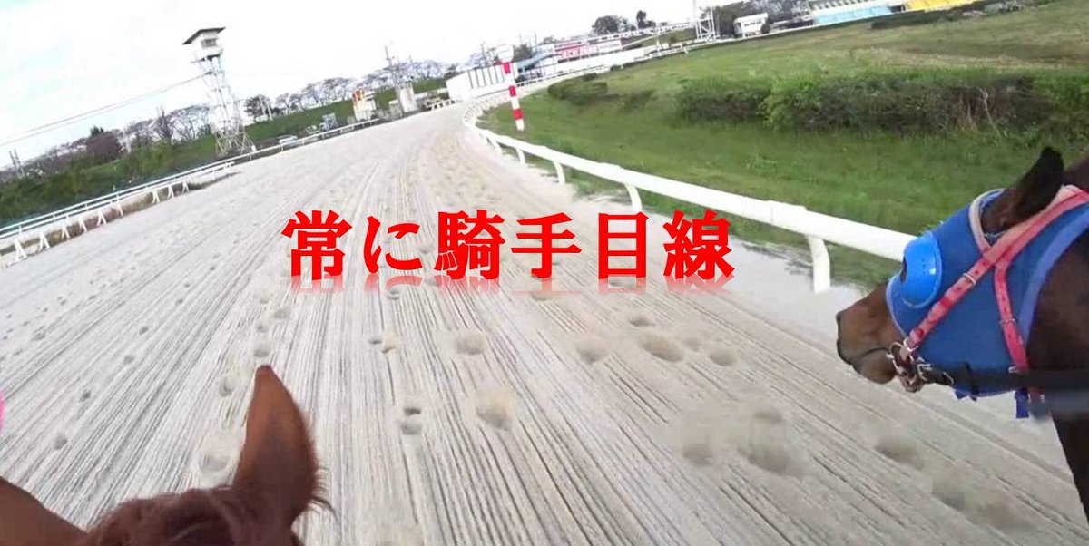 吉田海斗（元騎手） tweet media