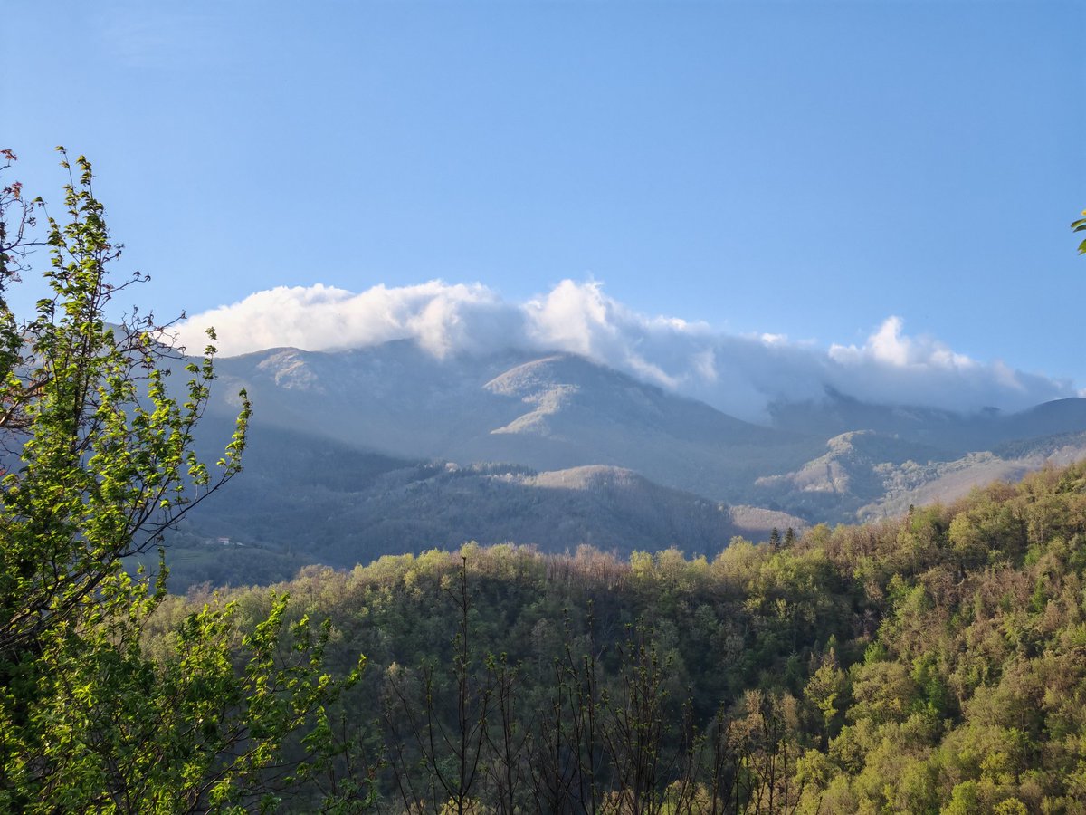 Raf 👾 living his best life tweet media