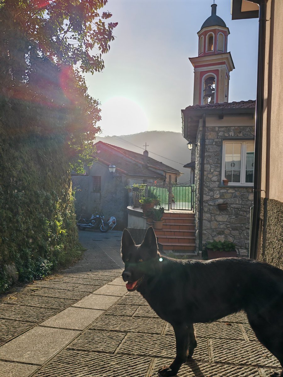 Raf 👾 living his best life tweet media